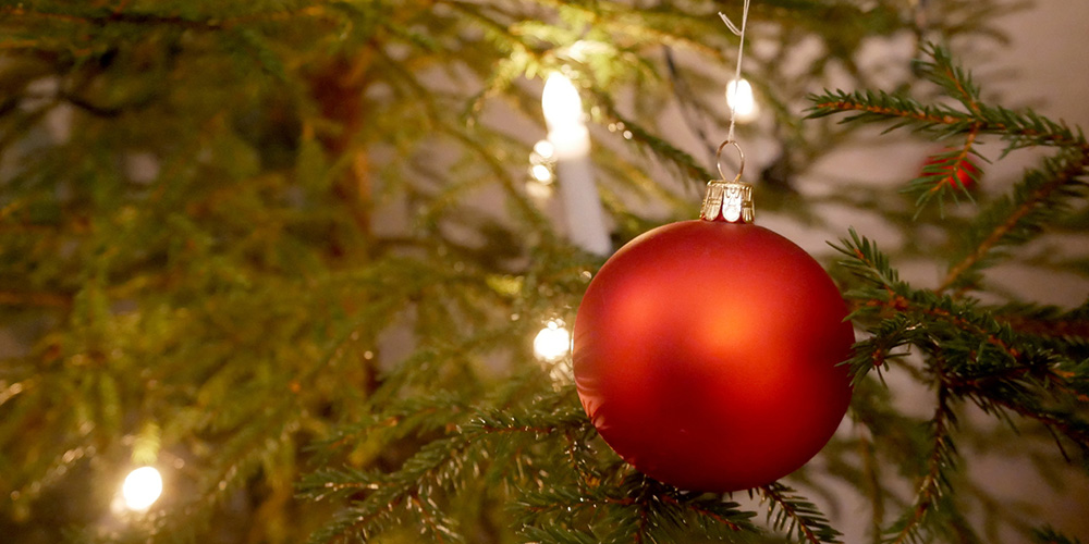 Christmas ball in a christmas tree.