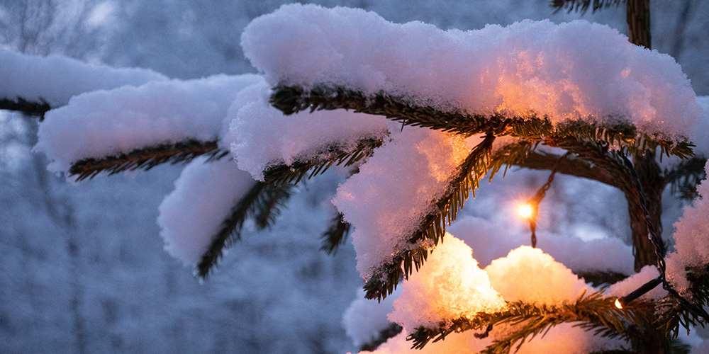 Gran med belysning övertäckt med snö.