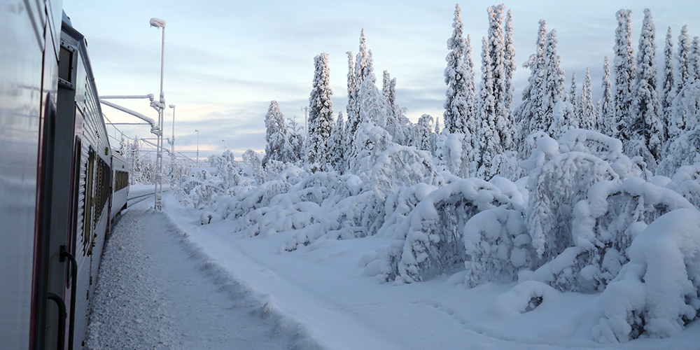 Tåg åker genom snötäckt vinterlandskap.